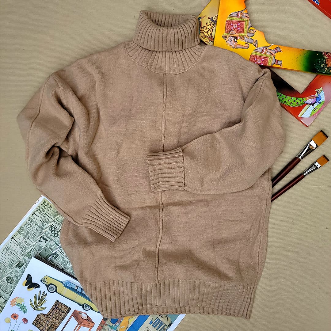 Basic Rose Blige Knit Turtleneck Sweater (1)